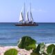 Barbados Catamaran Cruise