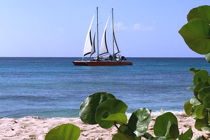 Barbados Catamaran Cruise