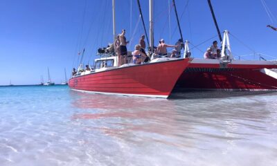 Barbados Catamaran Turtle and Shipwreck Snorkelling Cruise
