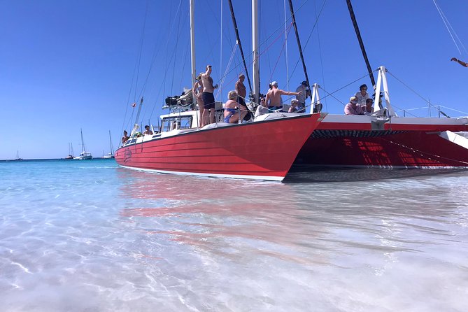 Barbados Catamaran Turtle and Shipwreck Snorkelling Cruise